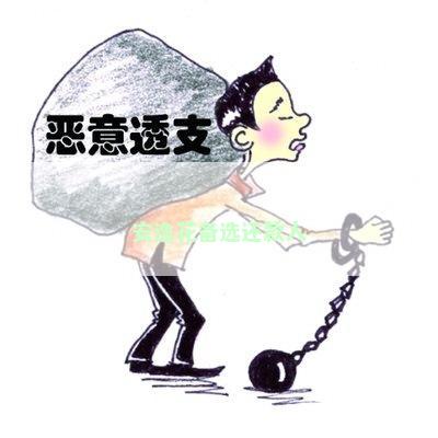 安逸花备选还款人