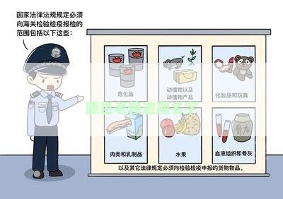 鹿邑老赖逾期名字