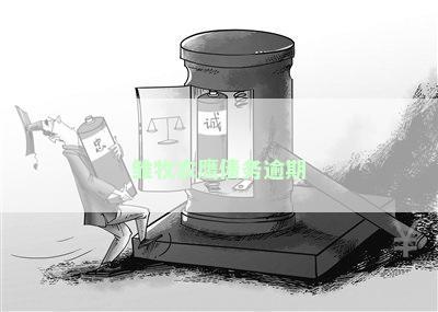 雏牧农鹰债务逾期