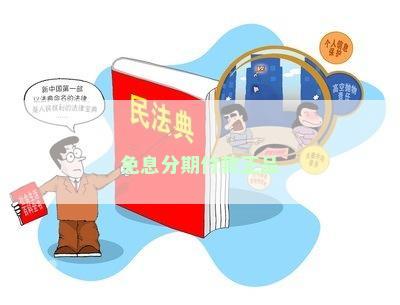 免息分期付款正品